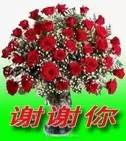  微信感谢表情包合集给过年抢红包的你