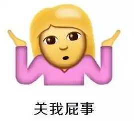 真德秀表情包wwdc