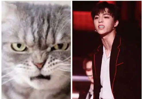  猫系男友陈立农每一个小表情都像极了小猫咪