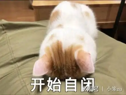  租房神器盘点收纳防蚊隔音好物,有你需要的吗