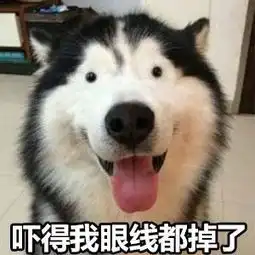  我从来没有见过,这么装逼的哈士奇表情包,有了它称霸装逼界