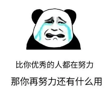 ins表情包动图飞哥