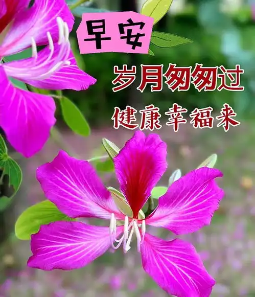 早上好表情包可爱打开窗