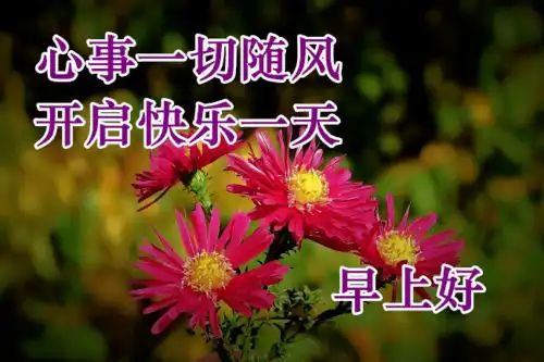  漂亮的早上好聊天表情图片,开启你新的一天,