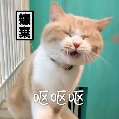  苏宁副总裁朋友圈卖内裤不过就是靠撸员工羊毛过冬......