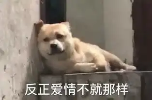  中国到底有多少男生,死在了哄女友的路上哈哈哈