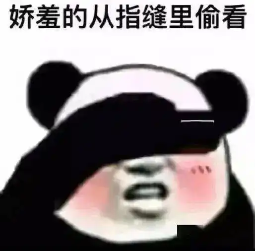 熊猫表情包头像高清