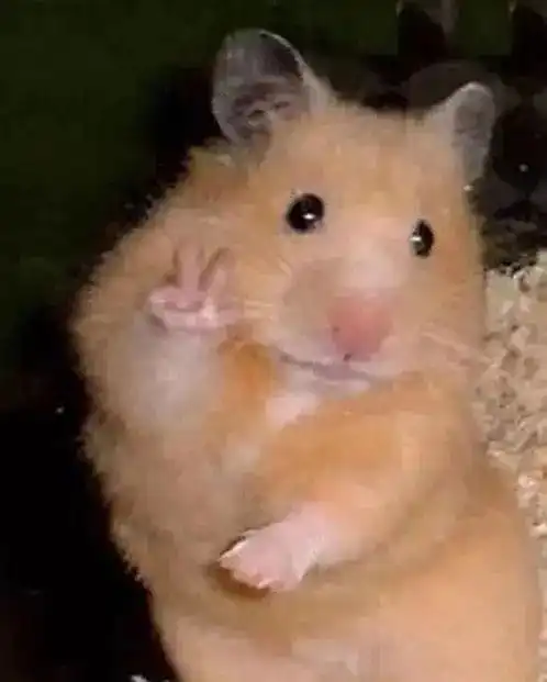  华为p40用着怎么样