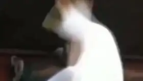  表情包四大天王的设计原型都是谁
