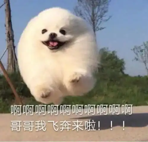  表情包别闹别闹,回家吃药