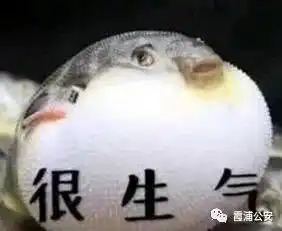  家禽不翼而飞霞浦警方破获系列盗窃家禽案