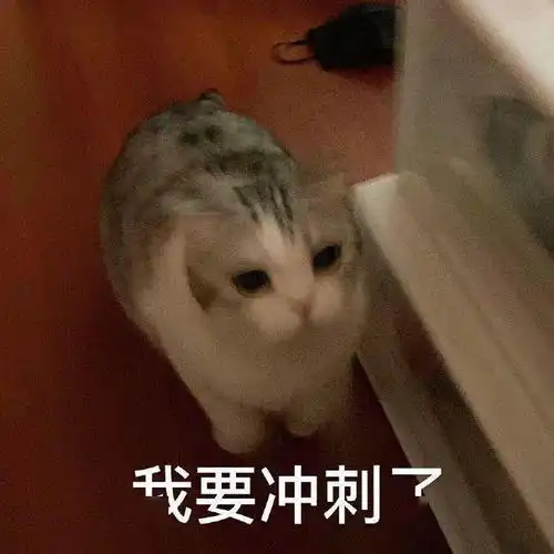 沙雕表情小狗勾的坏心眼可多着呢