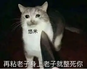 英雄联盟新英雄魔法猫咪一无是处那你是不会这3大关键操作 英雄联盟新英雄魔法猫咪一无是处那你是不会这3大关键操作