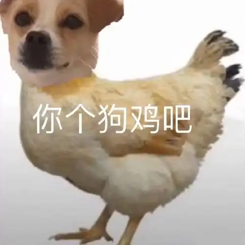  杳末钎散的个人空间acfun弹幕视频网认真你就输啦ω