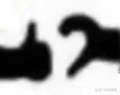  这个表情是什么意思阿