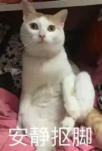  脚冷表情包冷死宝宝了