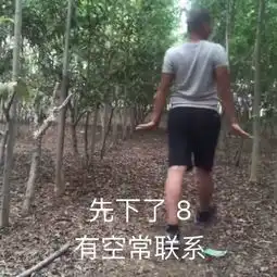 qq表情搞笑带字的图片菜