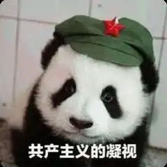  有这种熊猫的表情包吗