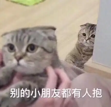  s级收藏夹