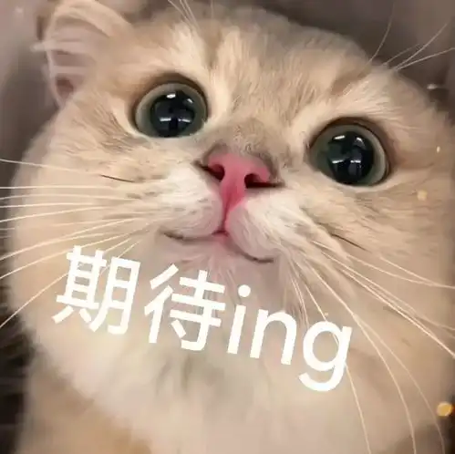 给我500元鼻孔表情包表