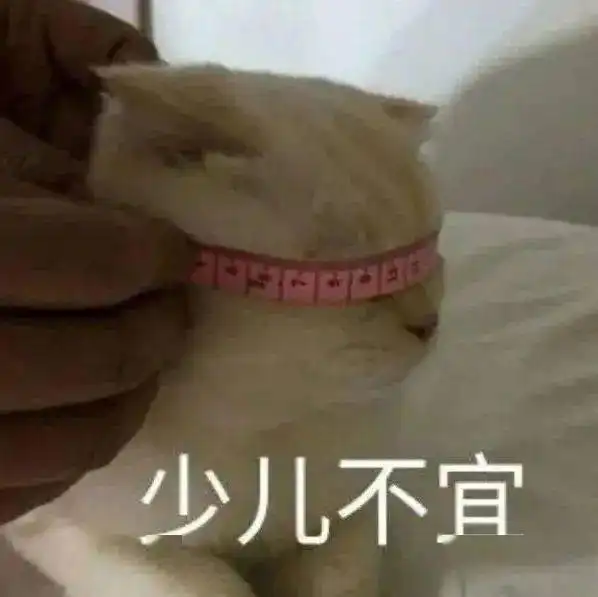  沙雕表情挎起个小猫批脸