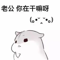  喊老公什么梗表情包小仓鼠版