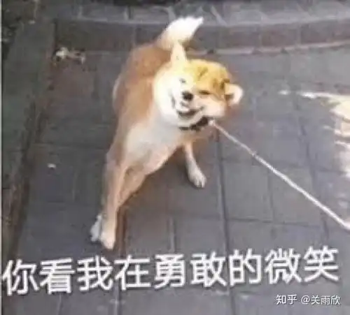  有哪些沙雕的网课软件学习堵以及上网课的表情包例如
