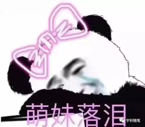 抖音萌妹游戏说表情包共享单车