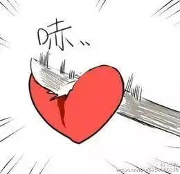  与鸡共舞