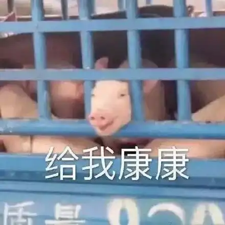 沙雕表情包姐妹出来吃瓜