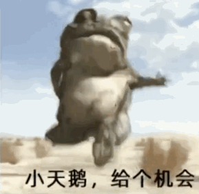  萌宠表情包我在乖巧的微笑