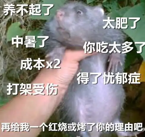  如何看待华农兄弟在b站29天收获100万粉丝