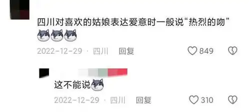  四川人说话到底多简洁看完网友们的分享,开眼界了,cpu都快干烧了