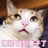  傻啦吧唧的图片表情包