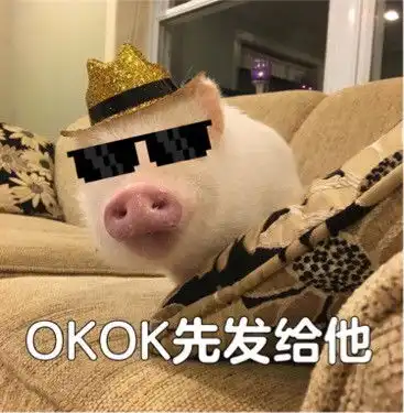  我觉得ok猪猪表情包中国有嘻哈我觉得可以表情包大全超清版腾牛下载