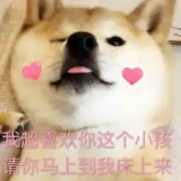 沙雕图集结号,我有沙雕图你有内存,我们就是好朋友 沙雕图集结号,我有沙雕图你有内存,我们就是好朋友