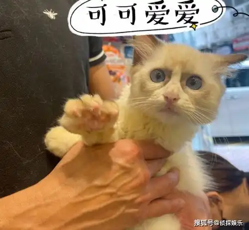  方媛买包陷选择纠结,强调只买一个获赞勤俭,郭富城再被吐槽抠门