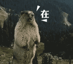 我这就滚表情包gif
