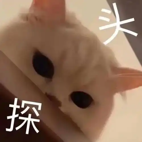 ﻿表情包搞笑沙雕凡士林