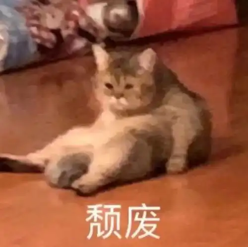  近期热图,斗图表情