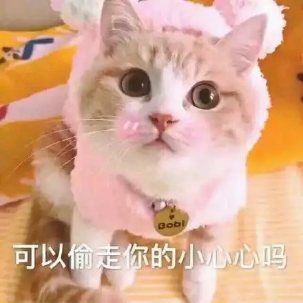 担心表情包猫咪王心遴