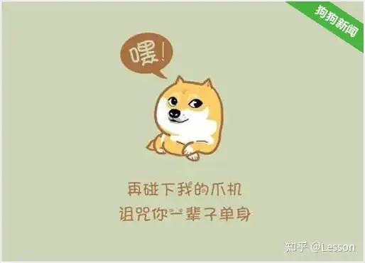  柴犬,让人迷恋的绝不止微笑和表情包