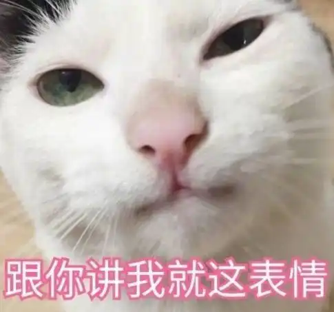 你傻没事我瞎表情包傻子