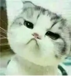  哪位大哥有这只猫的完整表情,可以一张张的发给我吗