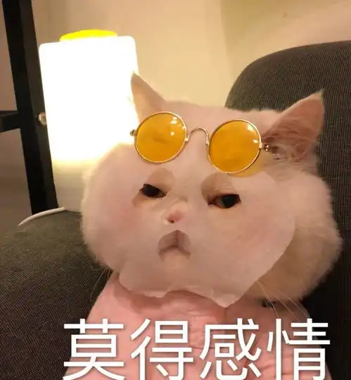  叮咚属于你的甜来了