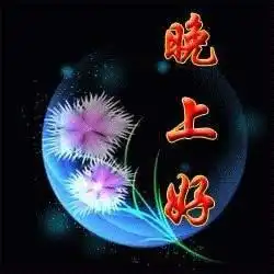  刚加的女生给我说晚上好怎么幽默回答