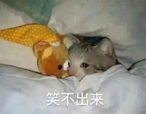  腾讯新闻