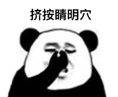  听说女子养了猫头鹰,朋友便去做客,一进门揉了好几次眼睛