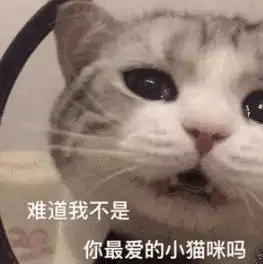  别拦我,老子今晚就离家出走哈哈哈疯了吧