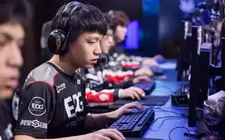 edg是什么意思表情包退役